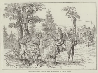 Anbringen von Telegrafendrähten an Bäumen im Wald von Lublin, Russland